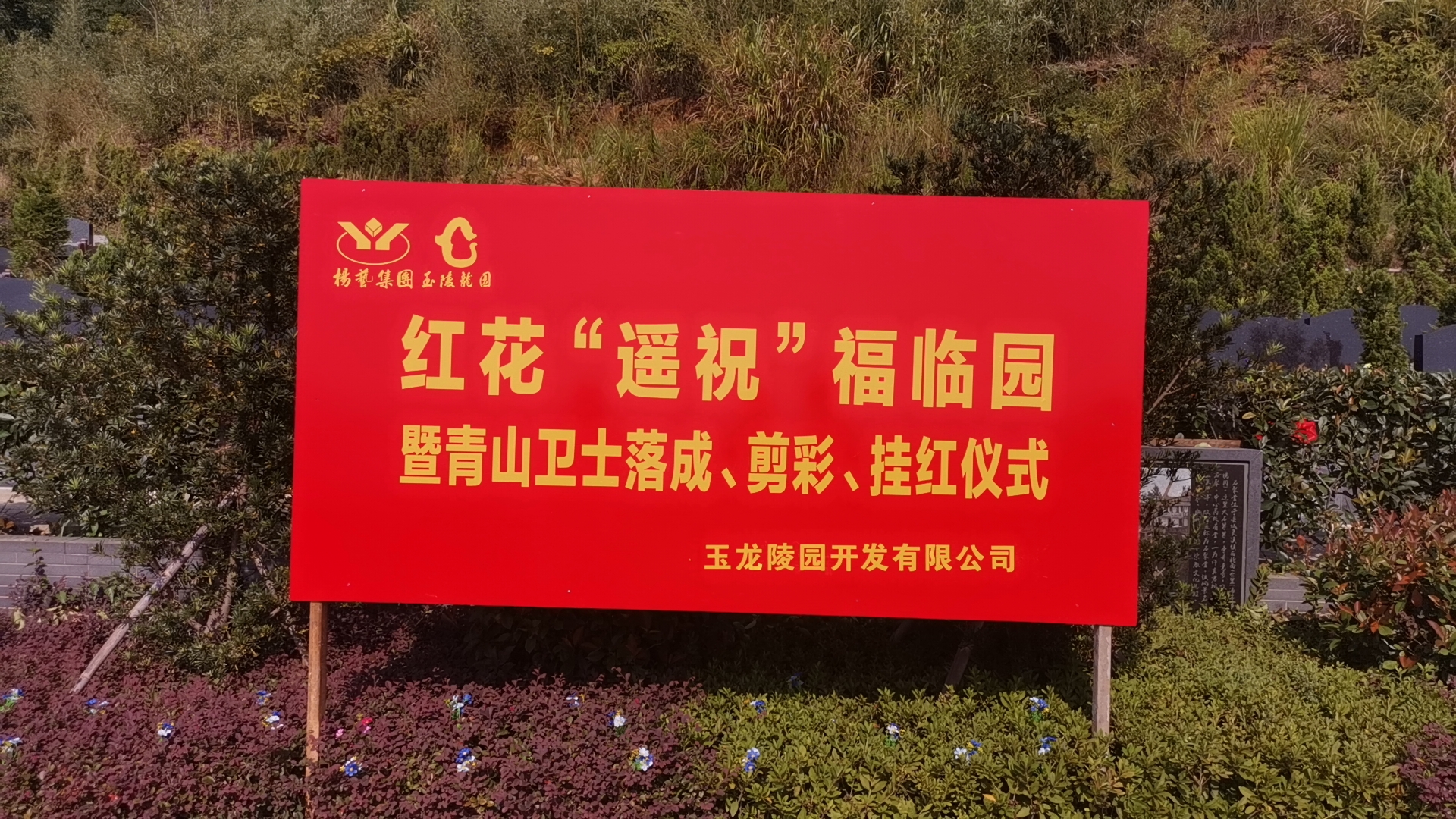 红花传爱意，情满玉龙园！