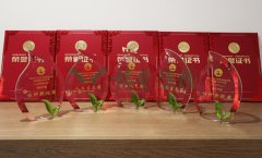 “itb8888通博杯”浙江省节地生态埋葬设计作品奖