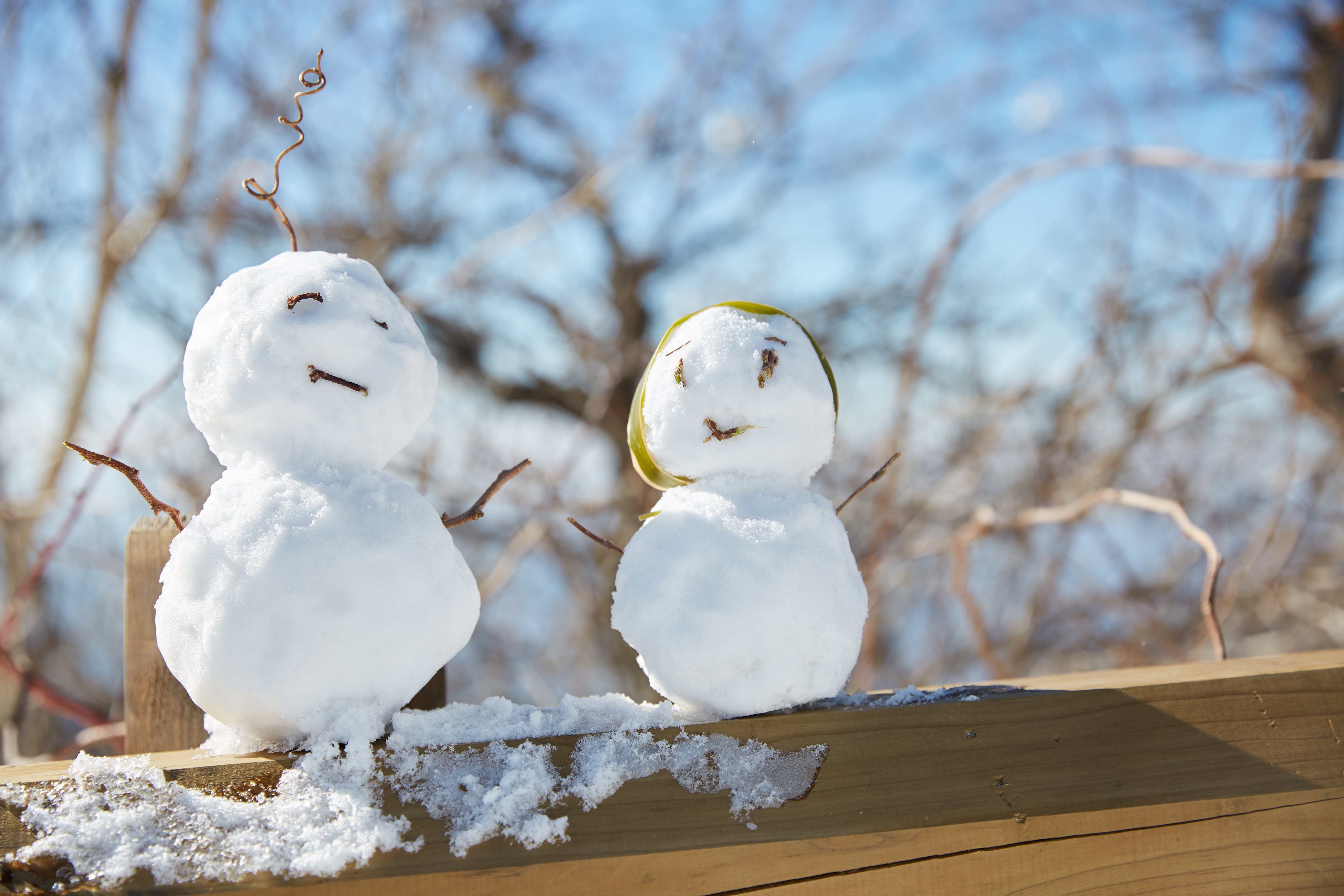 冬至，暖“杨”相伴 | itb8888通博人全力配合各墓园冬至落葬