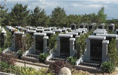 有一种墓碑，叫文化