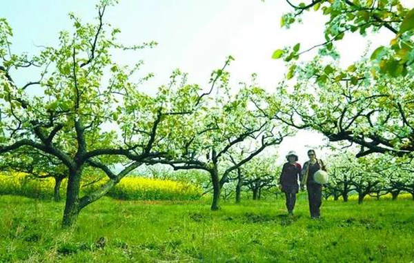 itb8888通博(中国区)官方网站