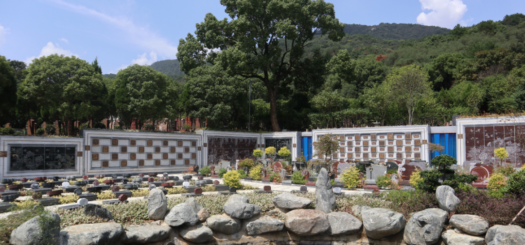 itb8888通博(中国区)官方网站