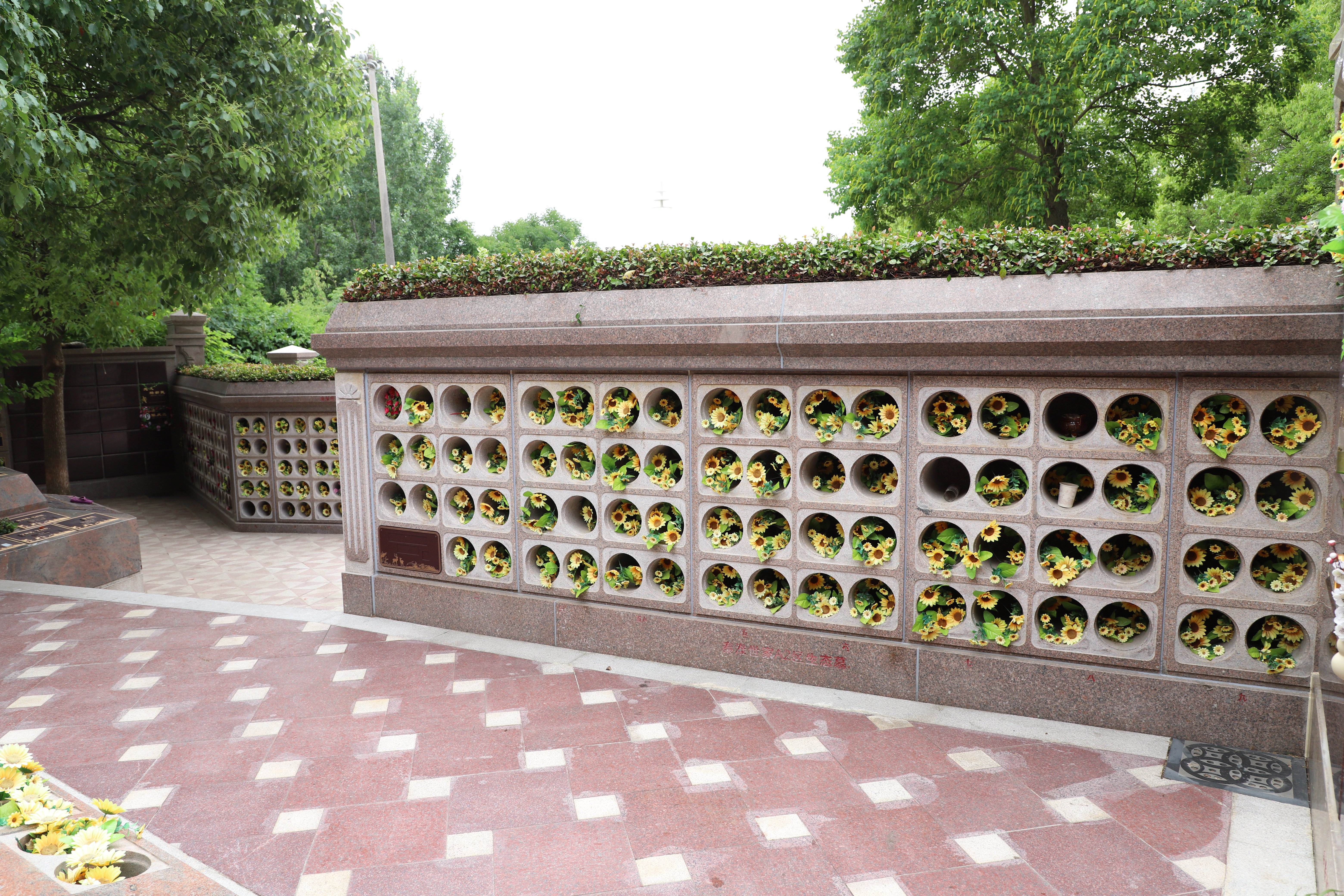 itb8888通博(中国区)官方网站