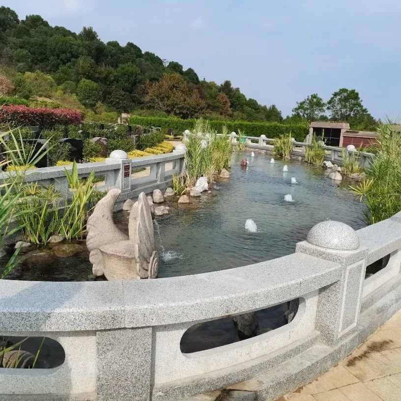 itb8888通博(中国区)官方网站