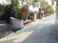 都会最后一平米：生态葬，是与自然的息争？照旧无奈的选择？