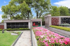 归于自然，泽被后世：解读现代生态葬及其立异趋势