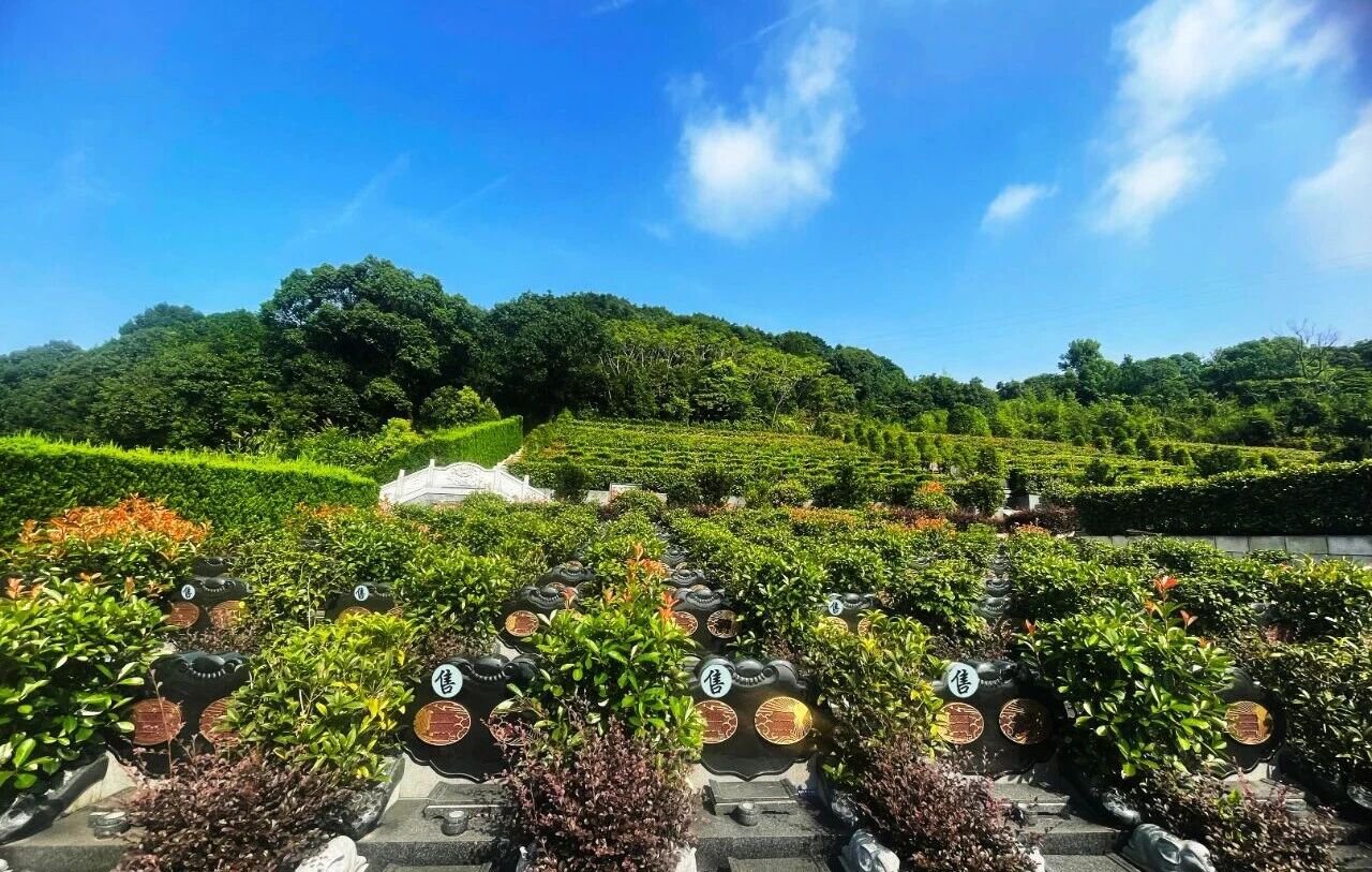 itb8888通博(中国区)官方网站