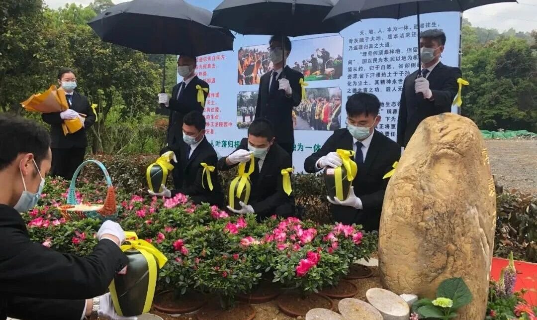 itb8888通博(中国区)官方网站