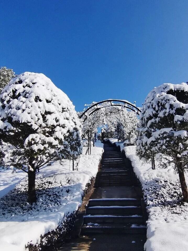 itb8888通博(中国区)官方网站