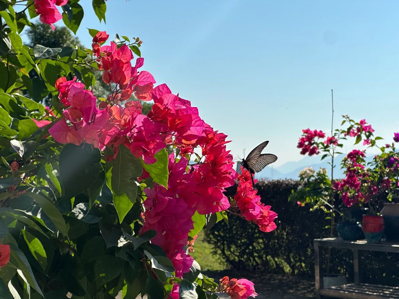 itb8888通博(中国区)官方网站