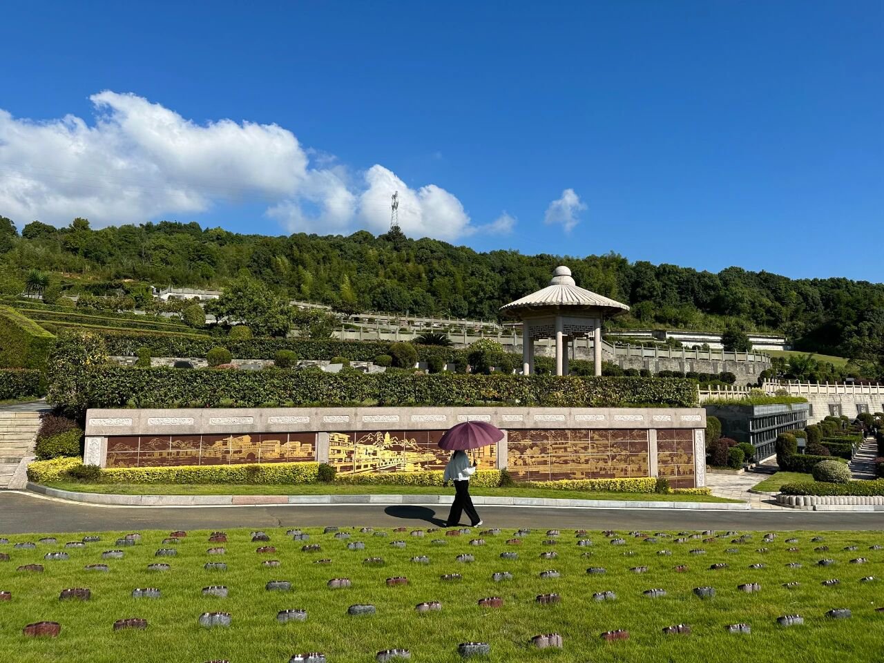 itb8888通博(中国区)官方网站