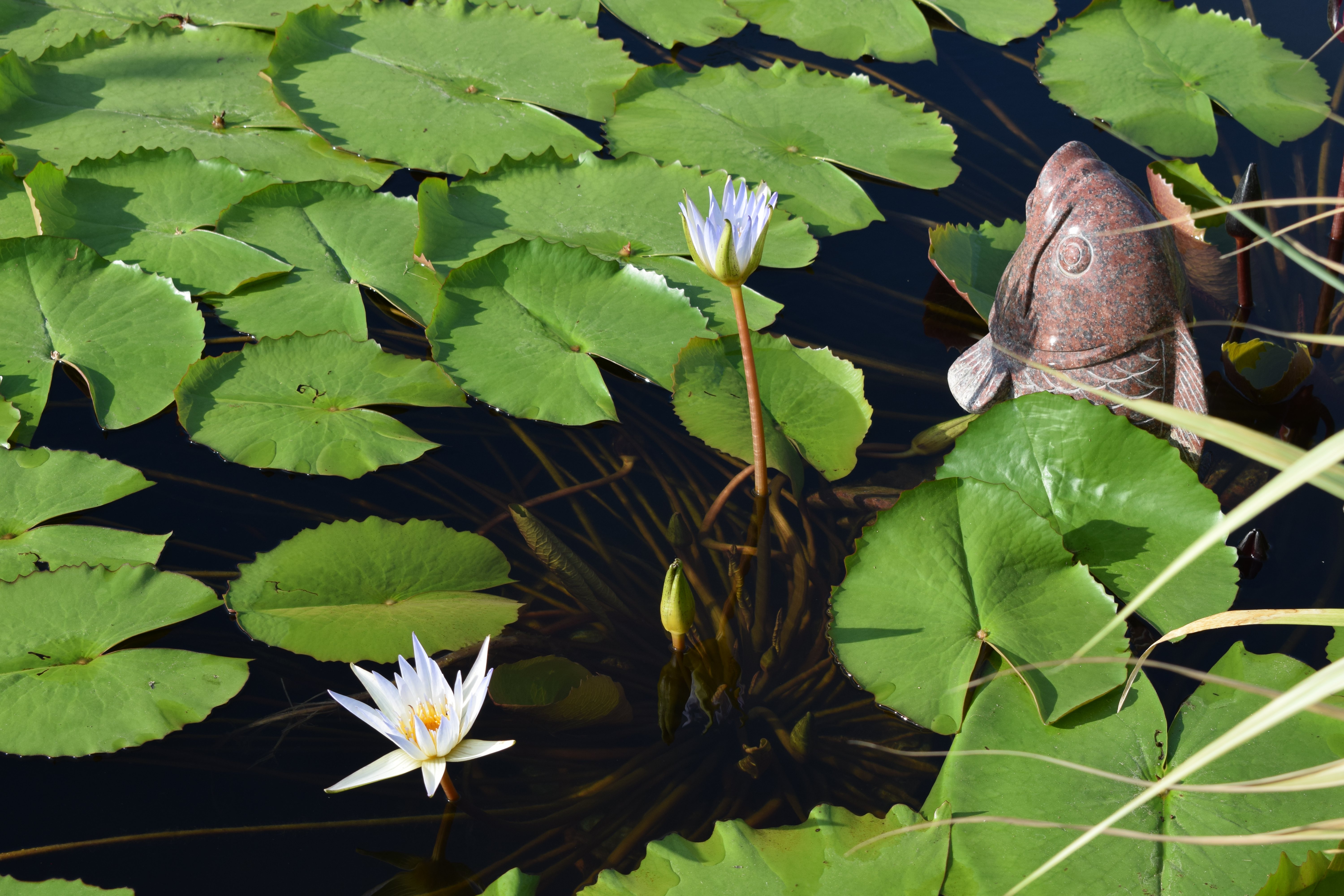 itb8888通博(中国区)官方网站
