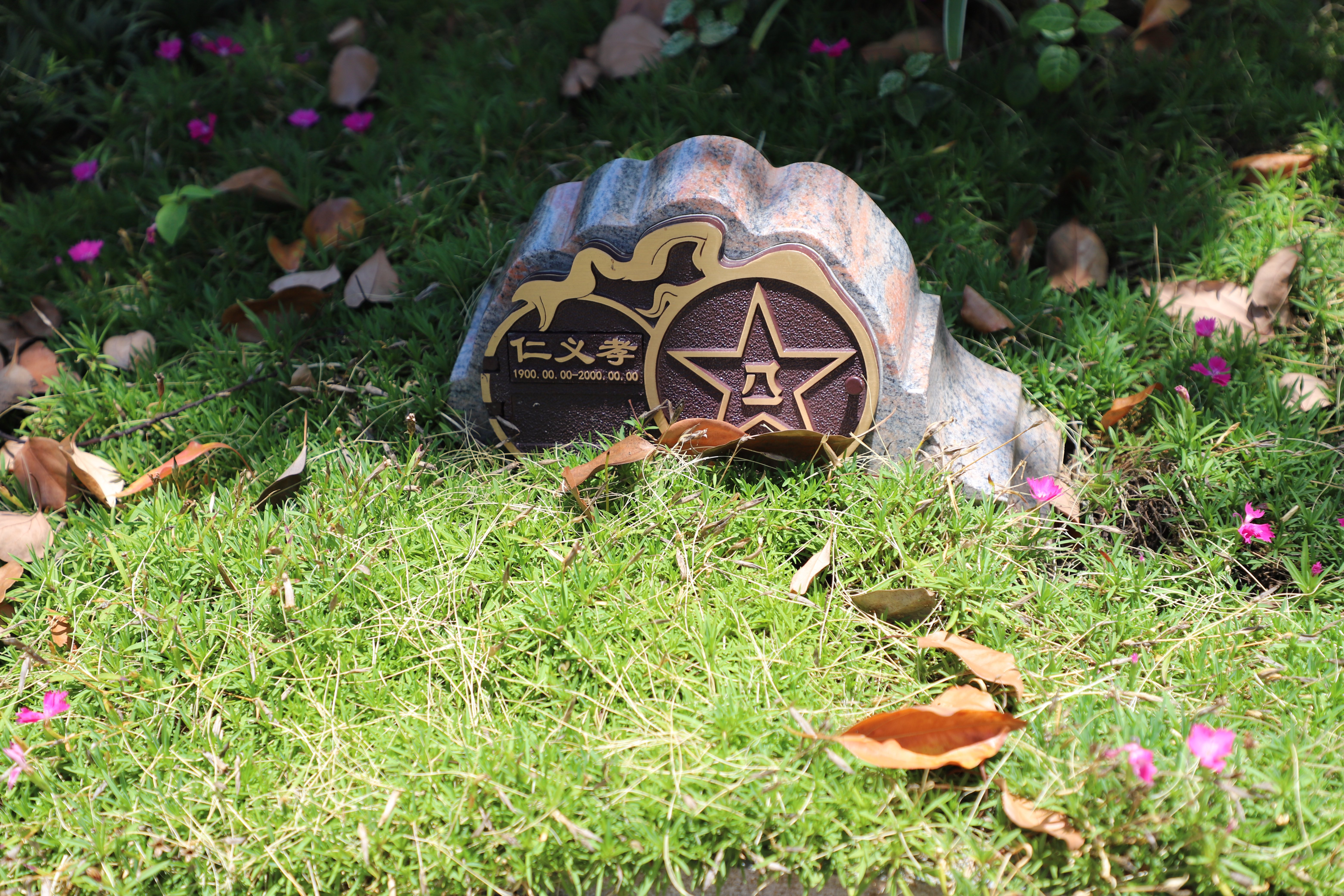 尘归尘，土归土：当生命终与自然相融