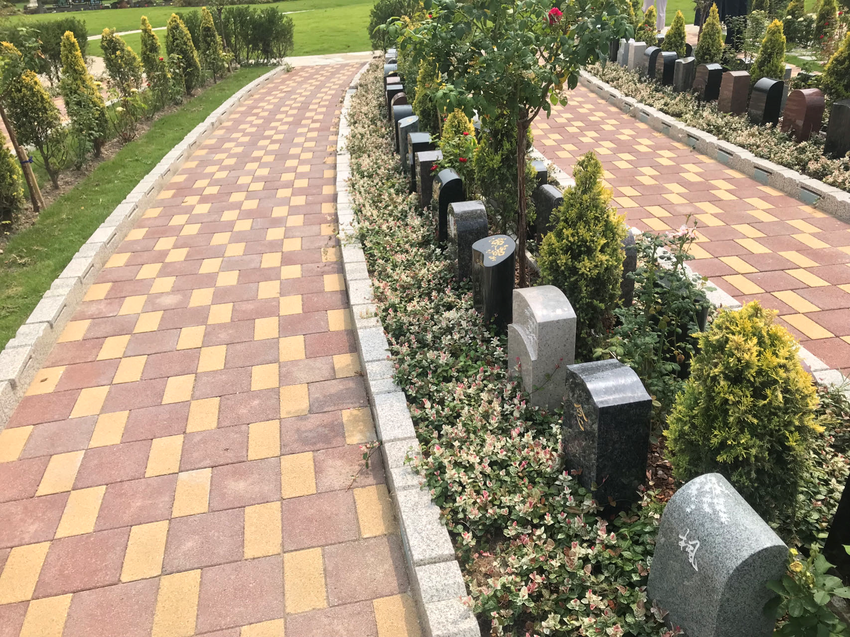 itb8888通博(中国区)官方网站