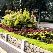 无机仿真石花箱：以永恒之名，塑未来之境