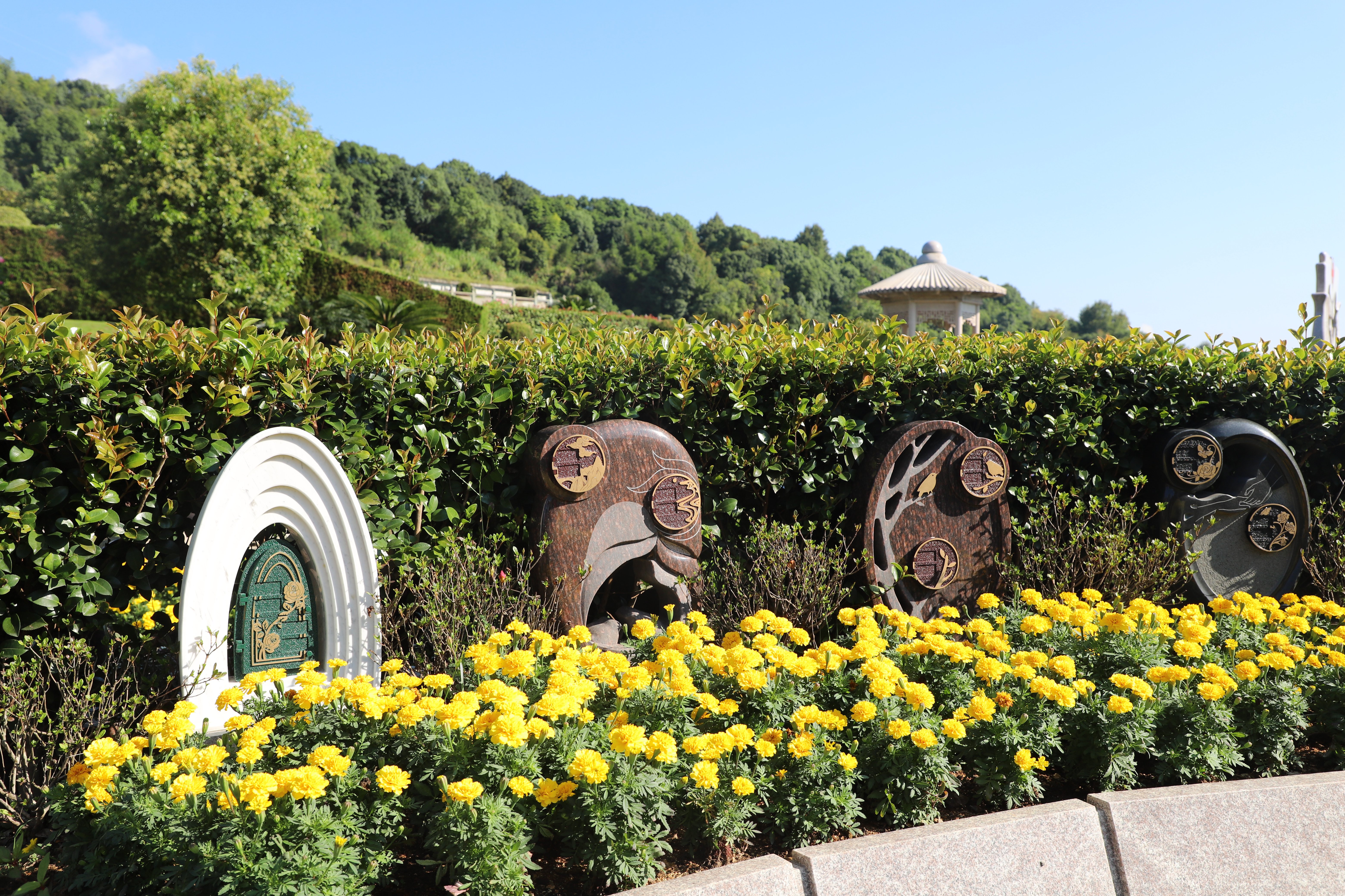 itb8888通博(中国区)官方网站