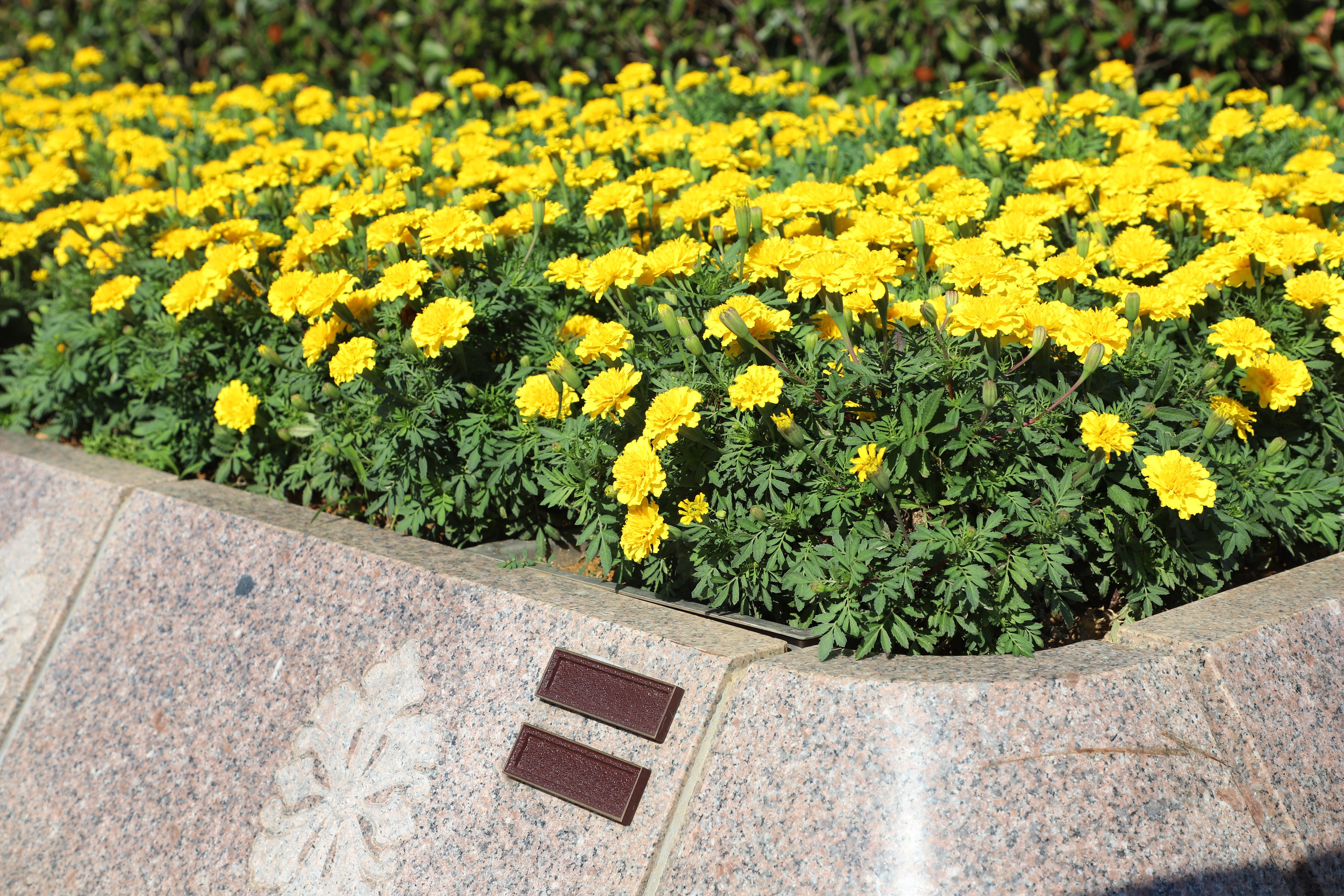 itb8888通博(中国区)官方网站