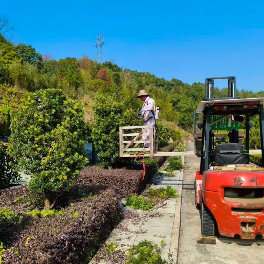 itb8888通博(中国区)官方网站